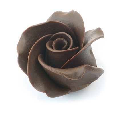 Dark chocolate rose